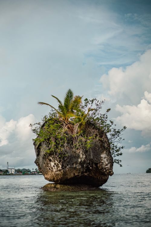 Free Stunning rock formation with vegetation near the shoreline of Bougainville, Papua New Guinea. Stock Photo