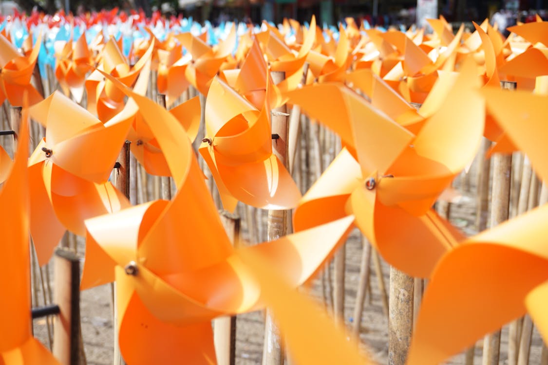 Photo of Orange Pinwheels