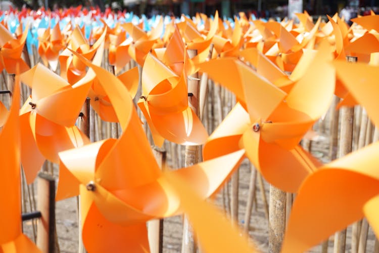 Photo Of Orange Pinwheels