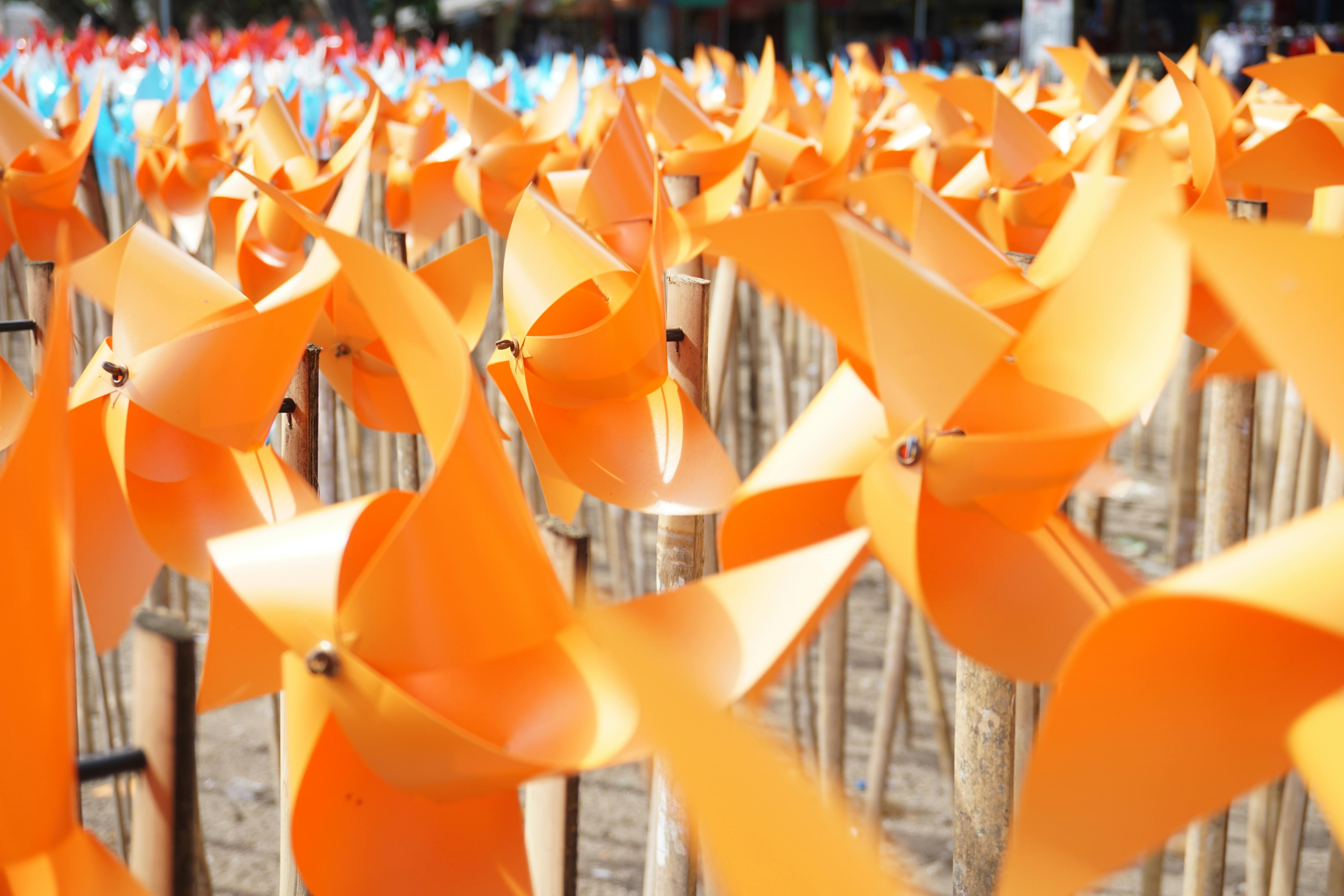 Pinwheel Photos Download The BEST Free Pinwheel Stock Photos HD Images Pinwheel Photos Download The BEST Free Pinwheel Stock Photos HD Images