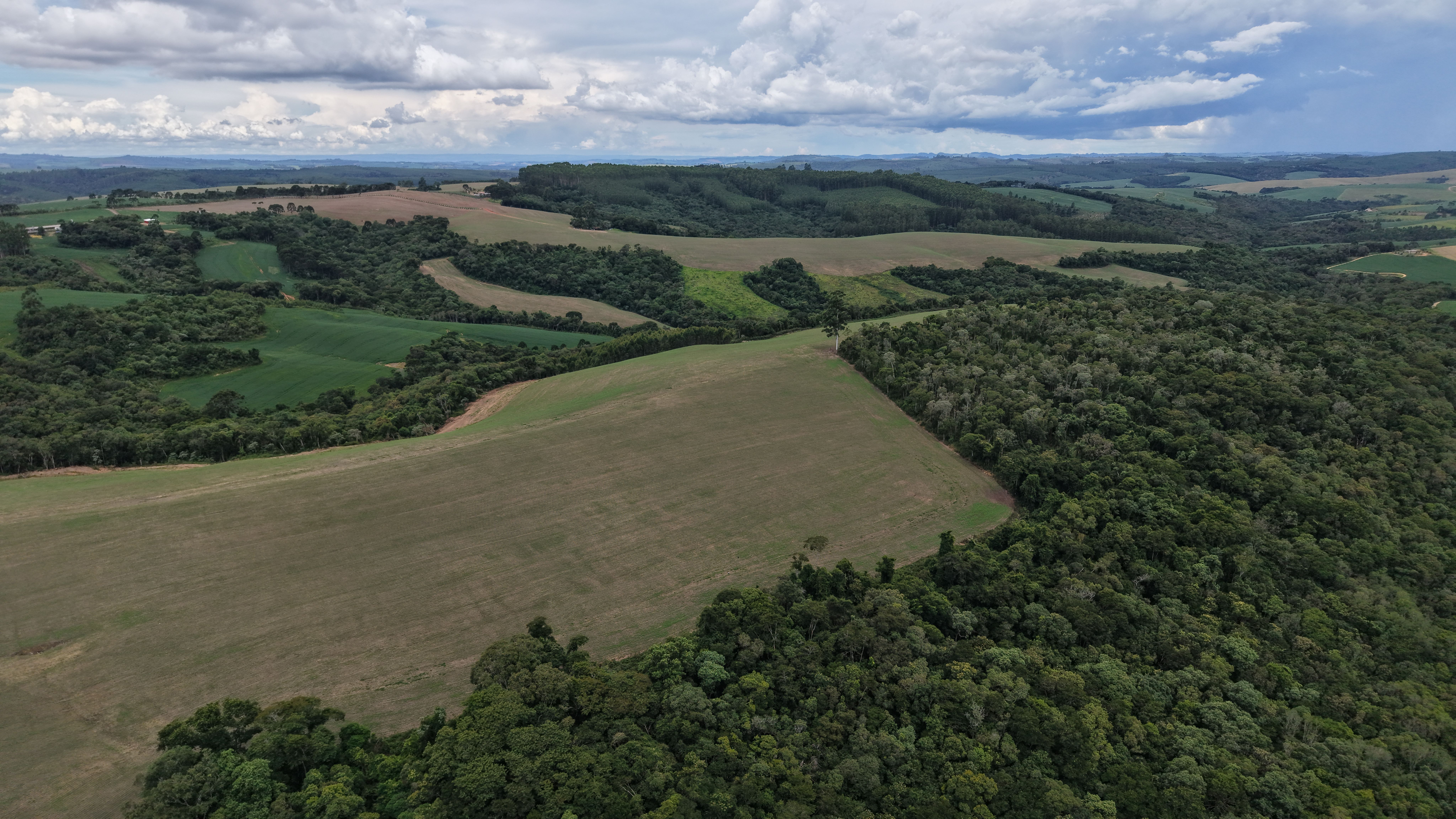 Agro do DF Sustenta Valor Histórico de R$ 5,8 Bilhões em 2025