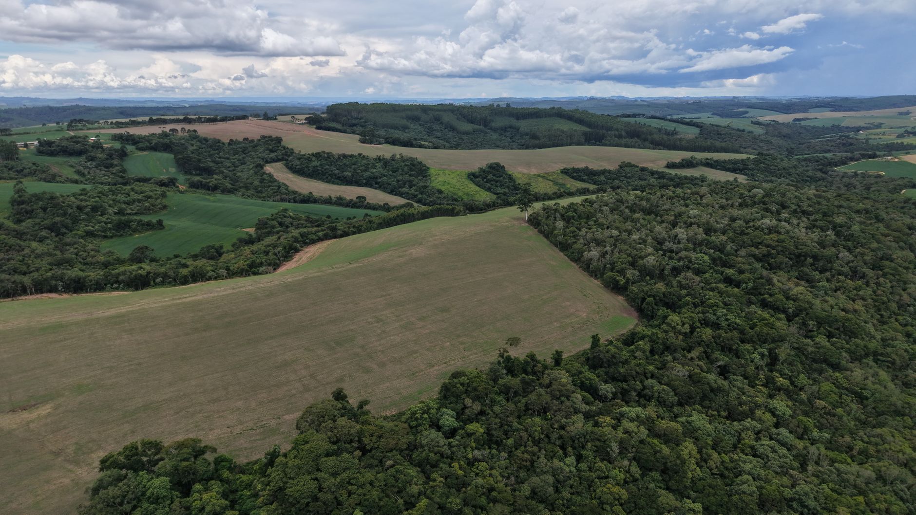 Agro do DF Sustenta Valor Histórico de R$ 5,8 Bilhões em 2025