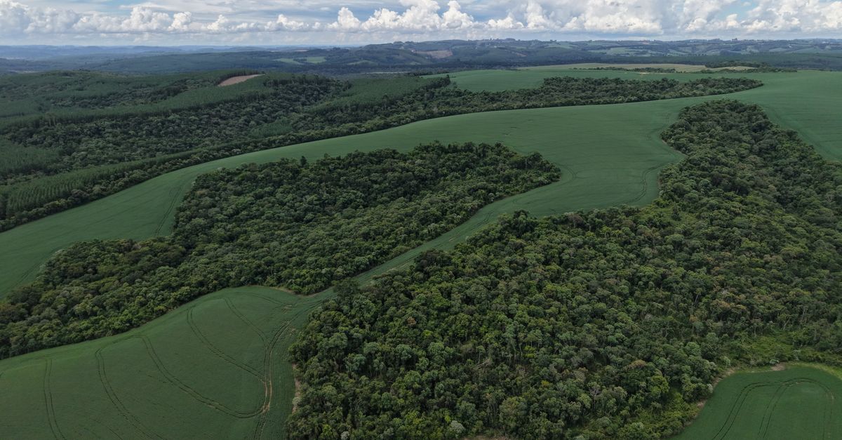 O que acompanhar — Embrapa e AgGateway discutem regulação de IA no agronegócio — imagem ilustrativa