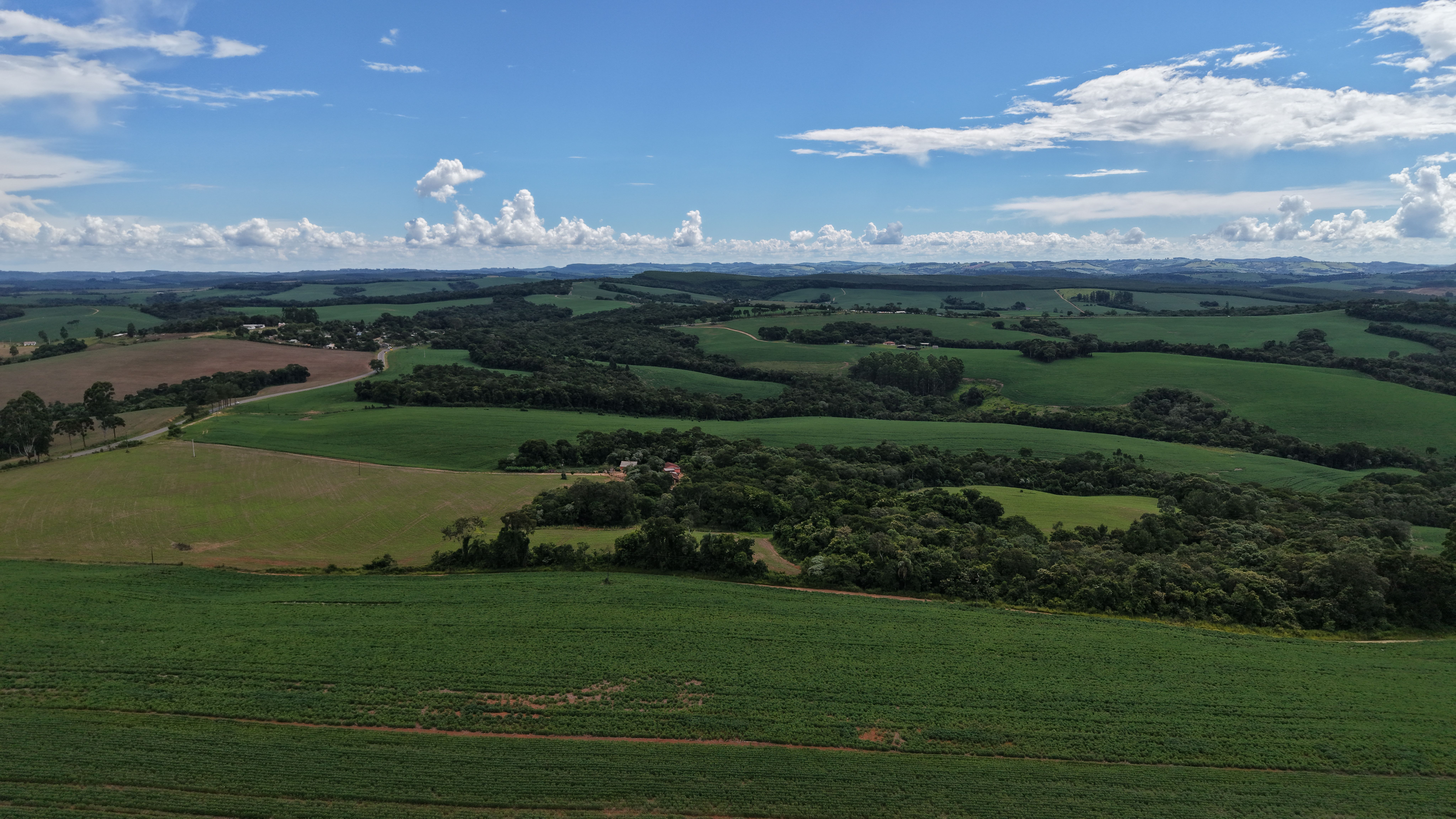 LIDE lança vertical agronegócio em Ribeirão Preto