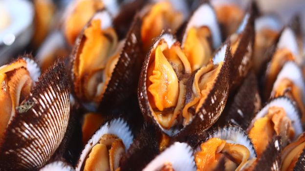 Macro shot of open cockles showcasing their vibrant orange flesh captured in natural light.