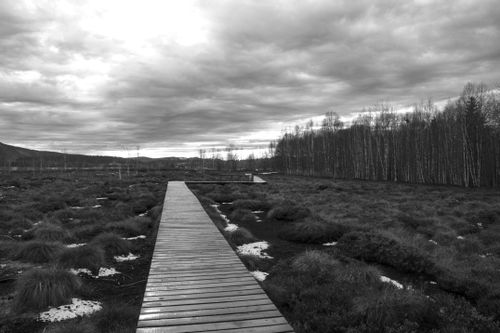 Free Black and white image of a boardwalk through a serene peat bog landscape under dramatic skies. Stock Photo