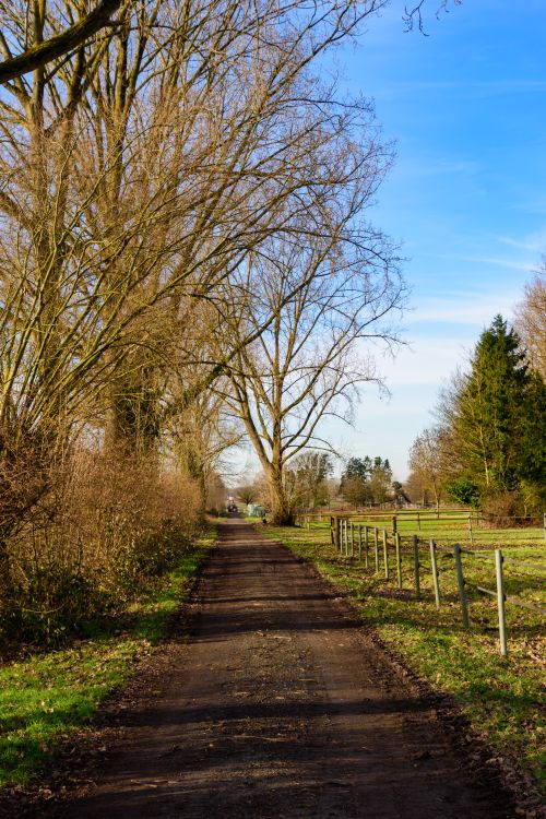 Free A serene rural path bordered by leafless trees in Coesfeld, NRW, Germany. Stock Photo