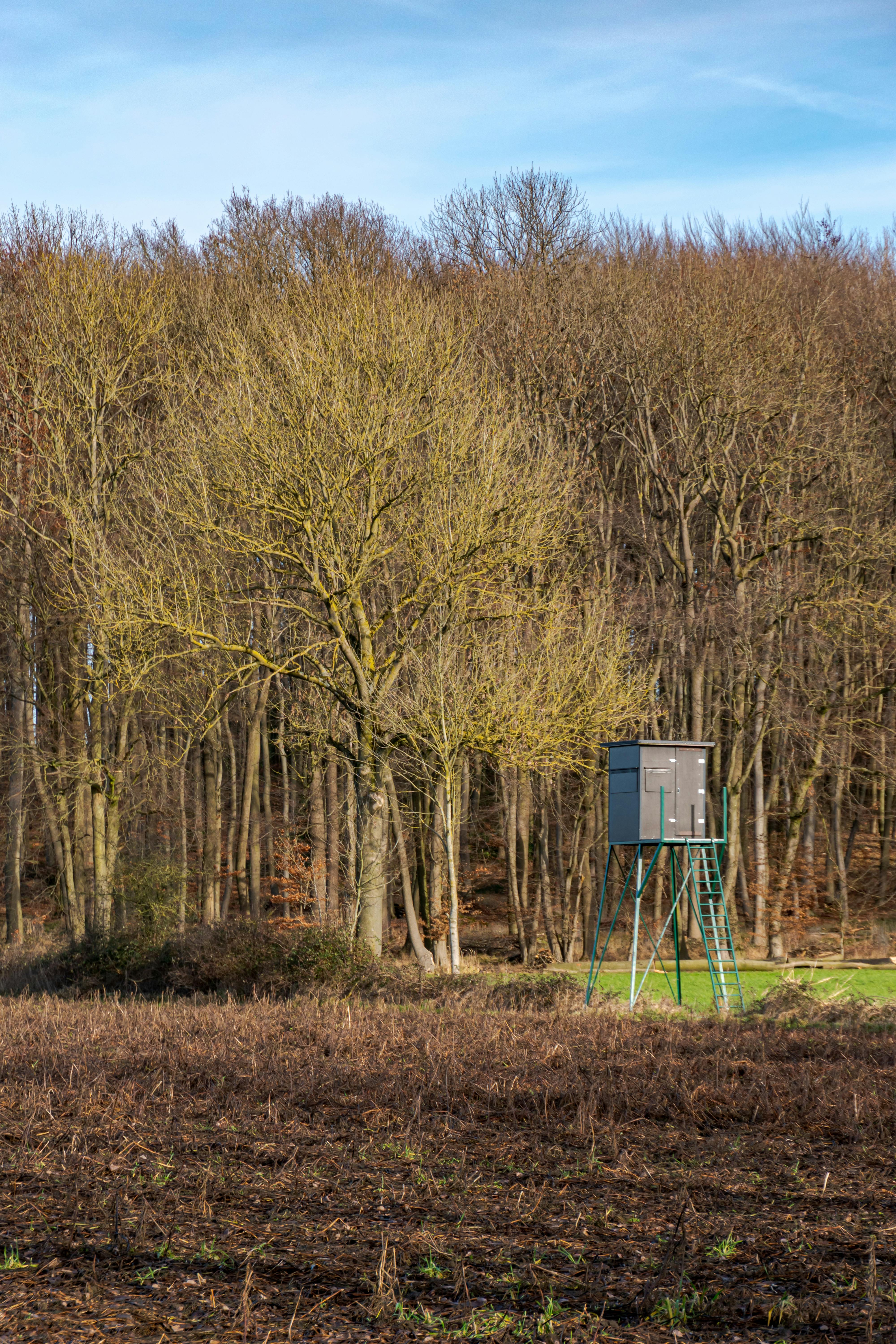 Tree Stand Buying Guide: Hang-On vs Ladder vs Climber, Safety Harness &amp; Weight Limits