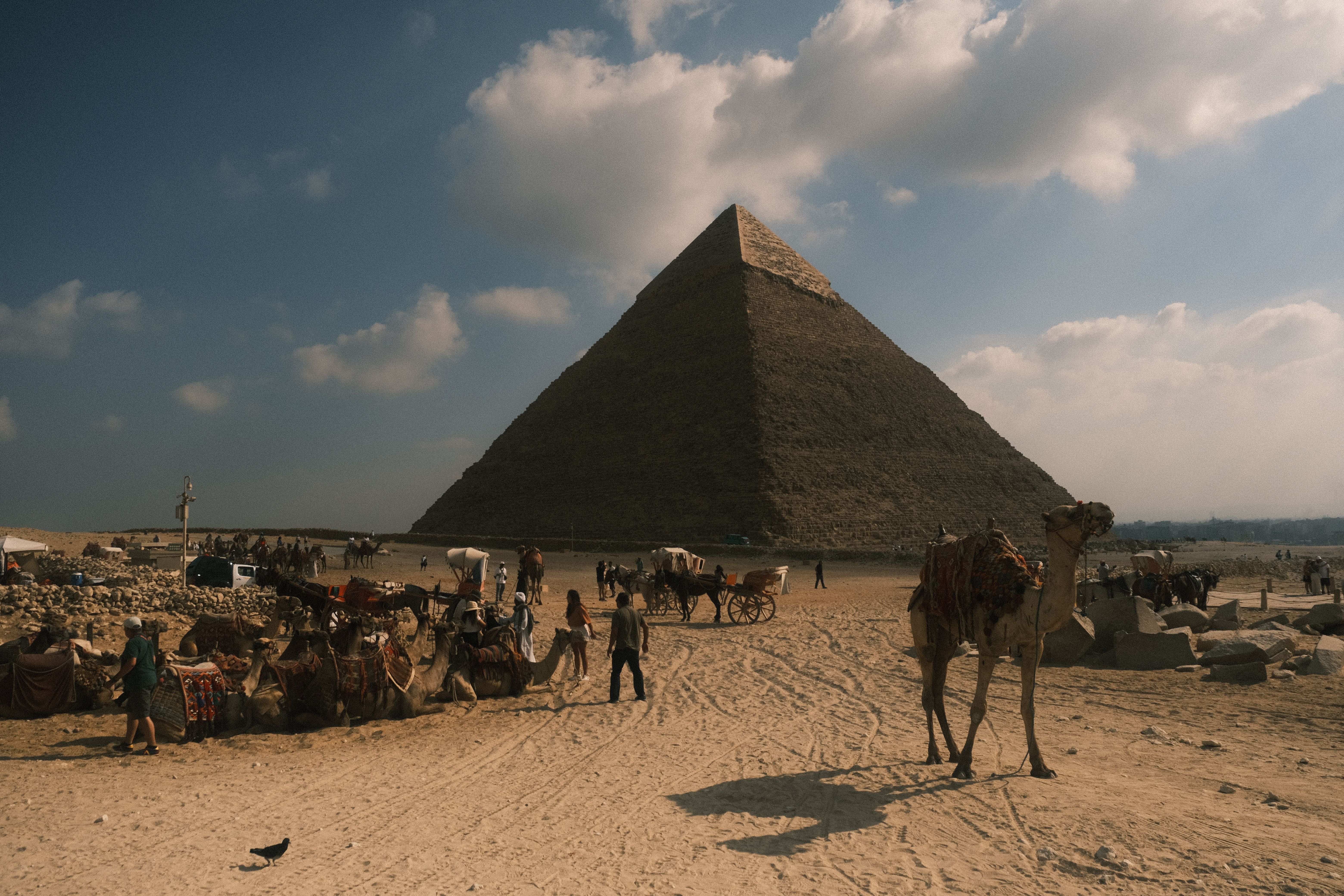 Camel Ride Near the Great Pyramid of Giza · Free Stock Photo