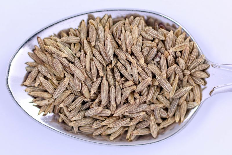 Cumin — Jinten