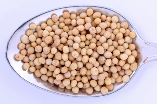 Detailed close-up image of white mustard seeds arranged on a silver spoon.