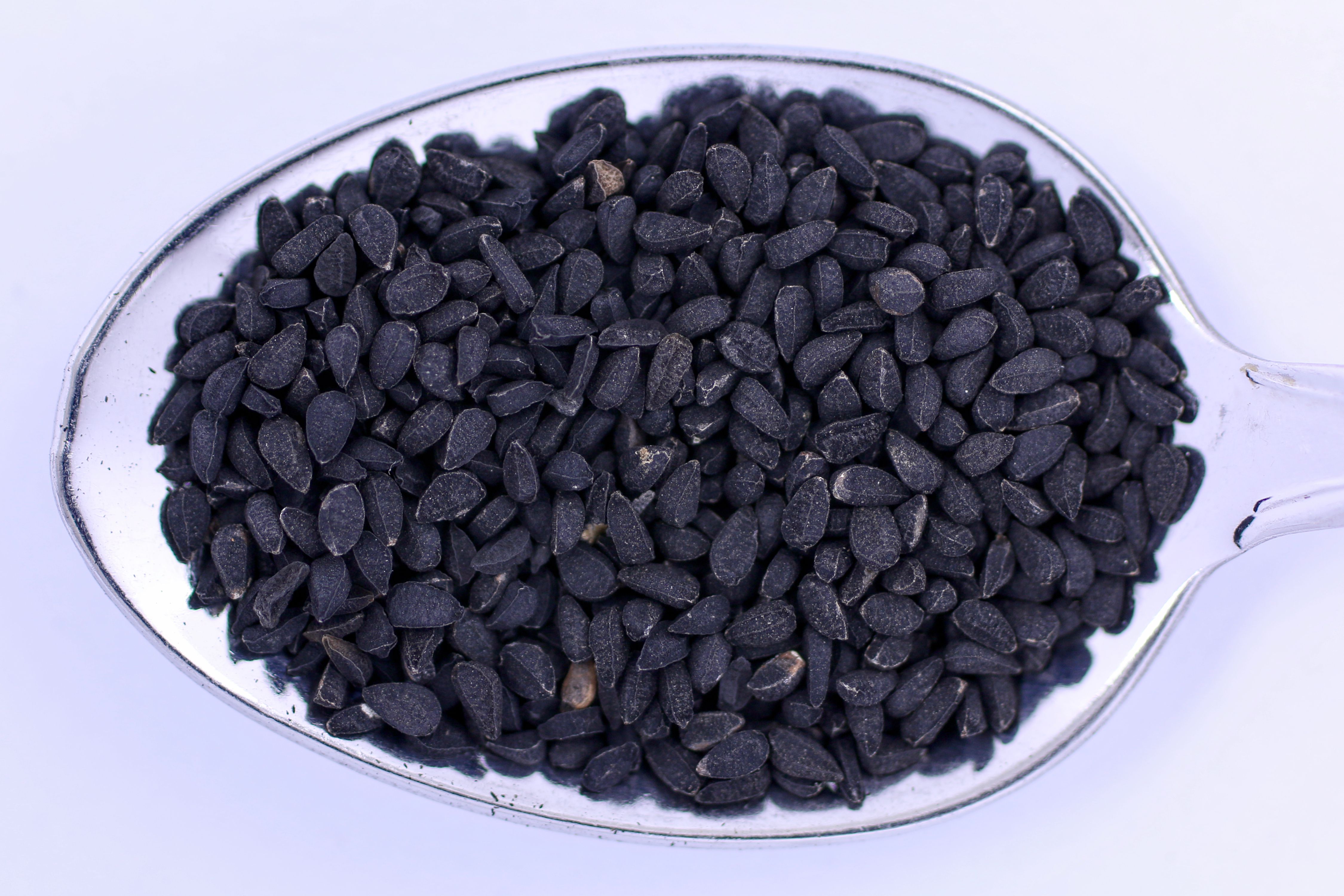 Black Cumin Seed Botanical Photo