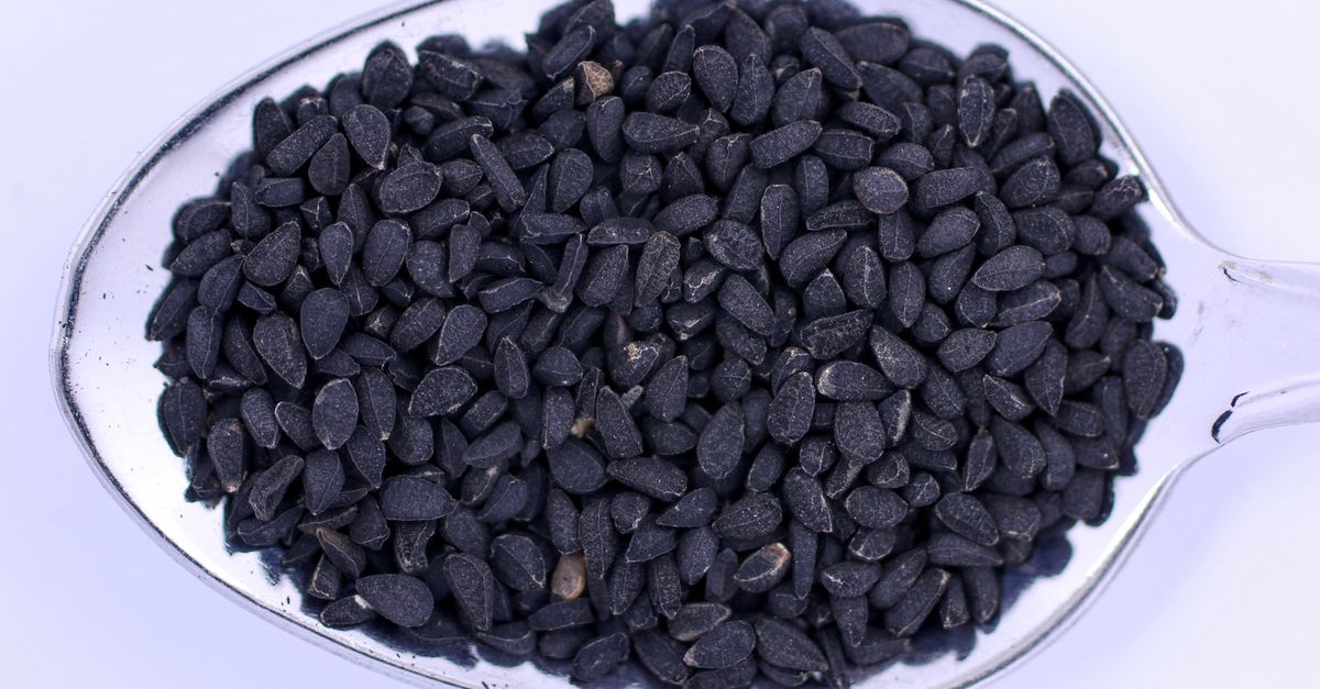 Detailed view of black cumin seeds on a silver spoon, perfect for kitchen and culinary themes. - Evidence evidence guide for black cumin seed sleep quality meta-analysis