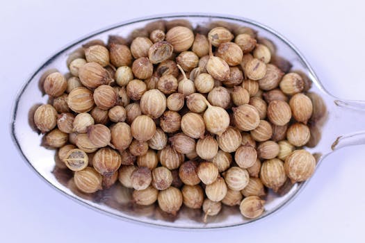 Macro shot of whole coriander seeds in a spoon, highlighting texture and detail.