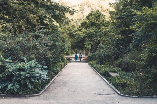 Free People enjoying a peaceful walk in a scenic, tree-lined pathway in Krakow, Poland. Stock Photo