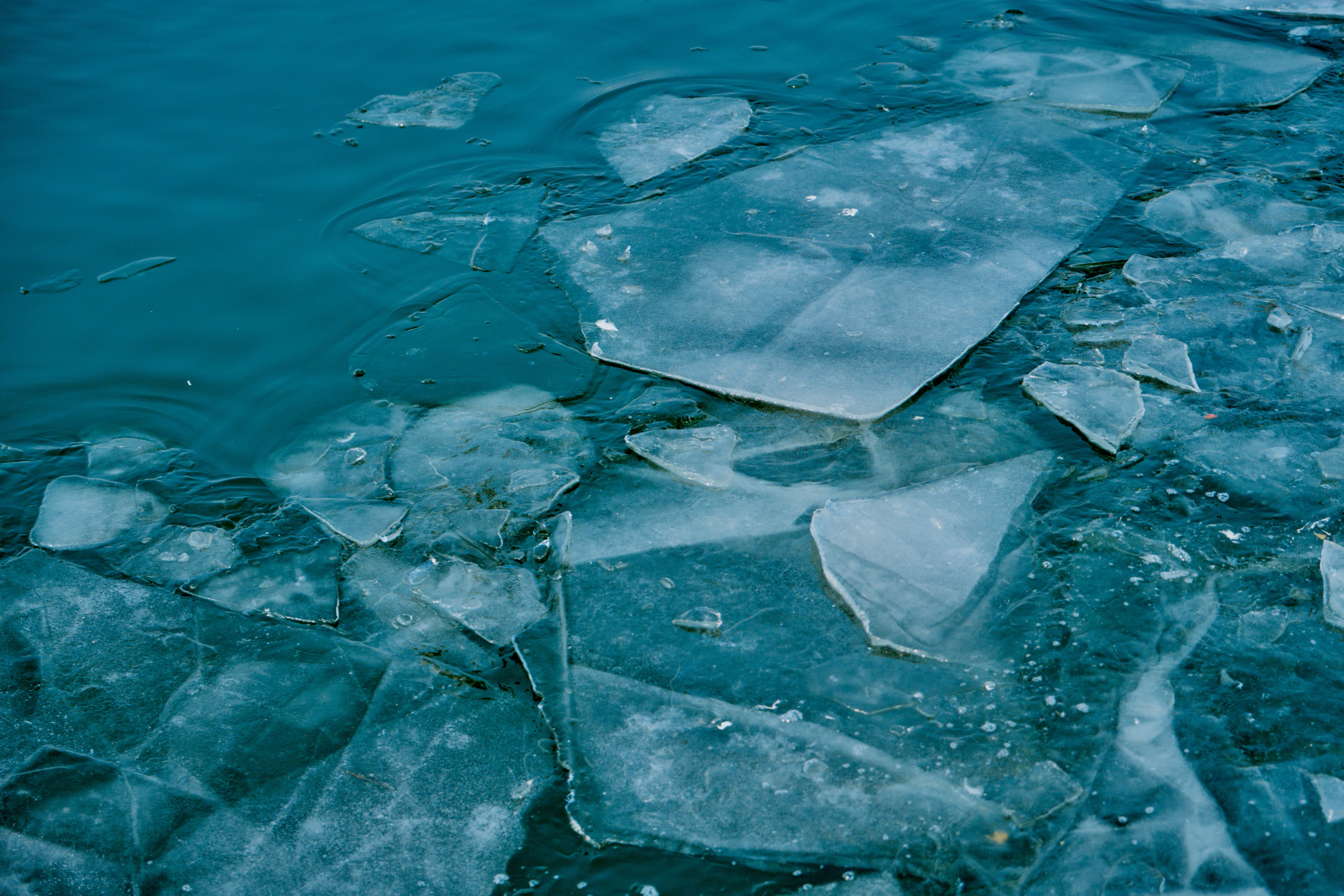 Fotomural Una escena serena de témpanos de hielo rotos flotando en un cuerpo de agua durante el invierno.