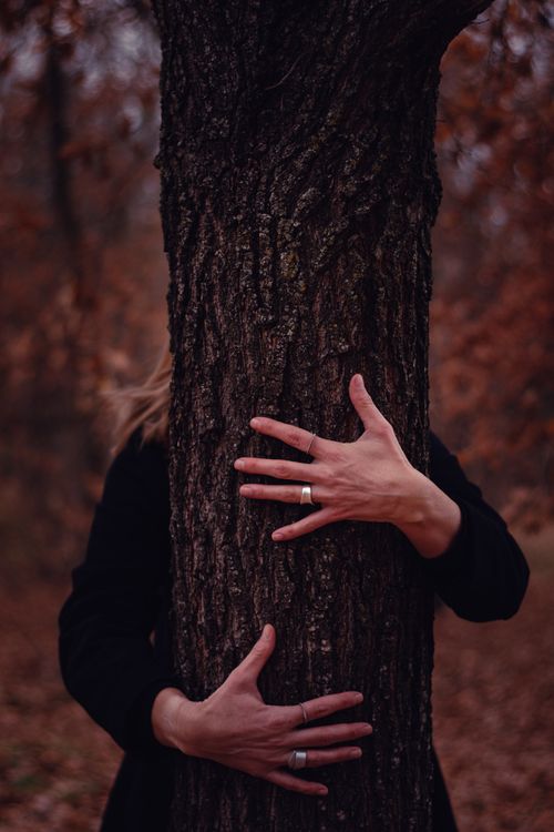 Free A woman embraces a tree trunk in a forest surrounded by autumn foliage. Stock Photo