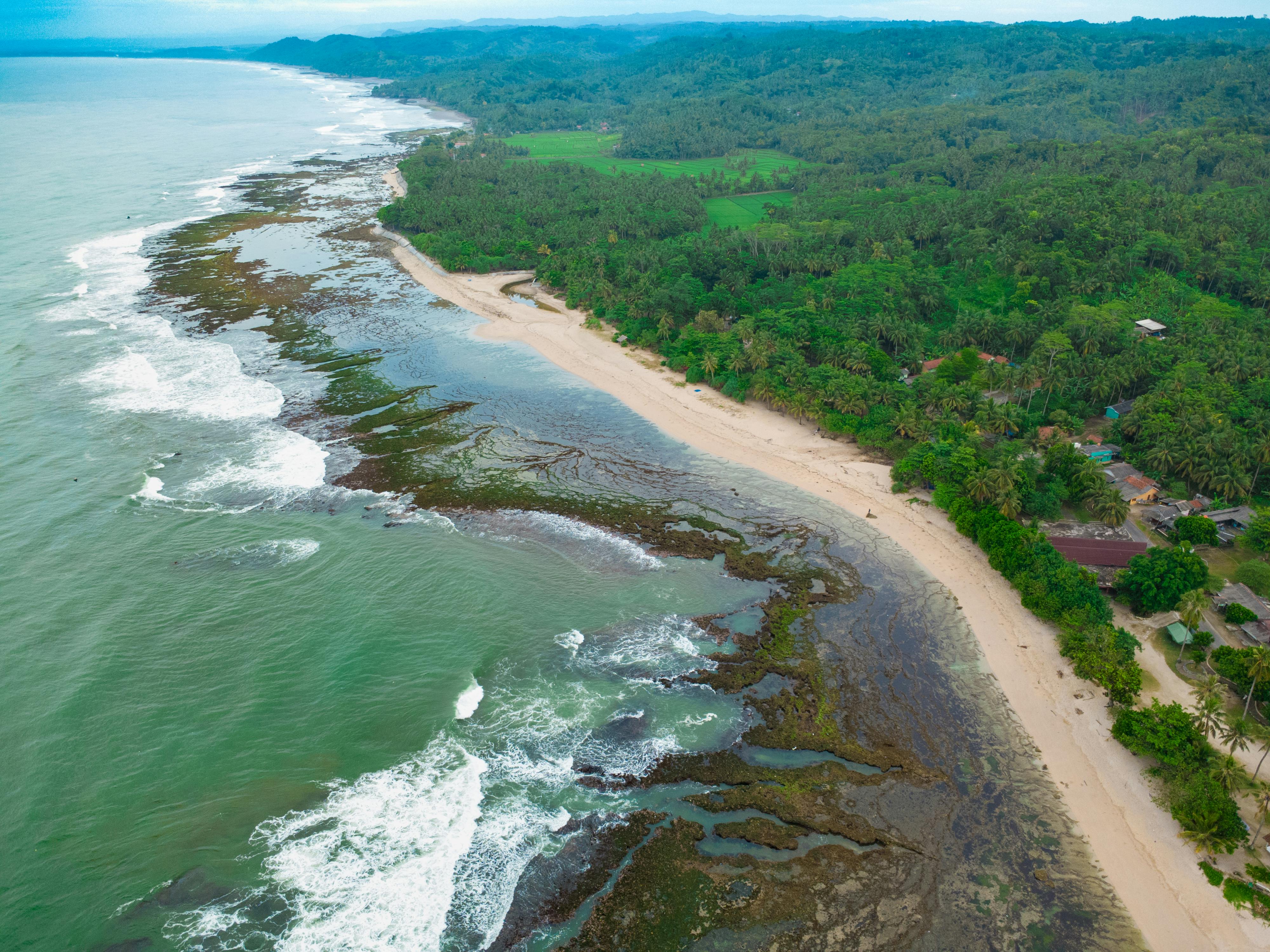 climate resilience, sea level rise, drought mitigation, ecosystem restoration, climate policy, Climate adaptation — Photo by 