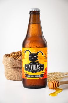 Bottle of 7 Vidas Oxapampa Honey Ale surrounded by grains and honey.