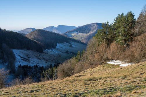 Free A picturesque mountain valley with snow-dusted trees under clear blue skies. Stock Photo