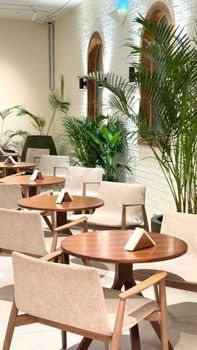 Inviting café interior with modern wooden furniture, lush greenery, and natural light.