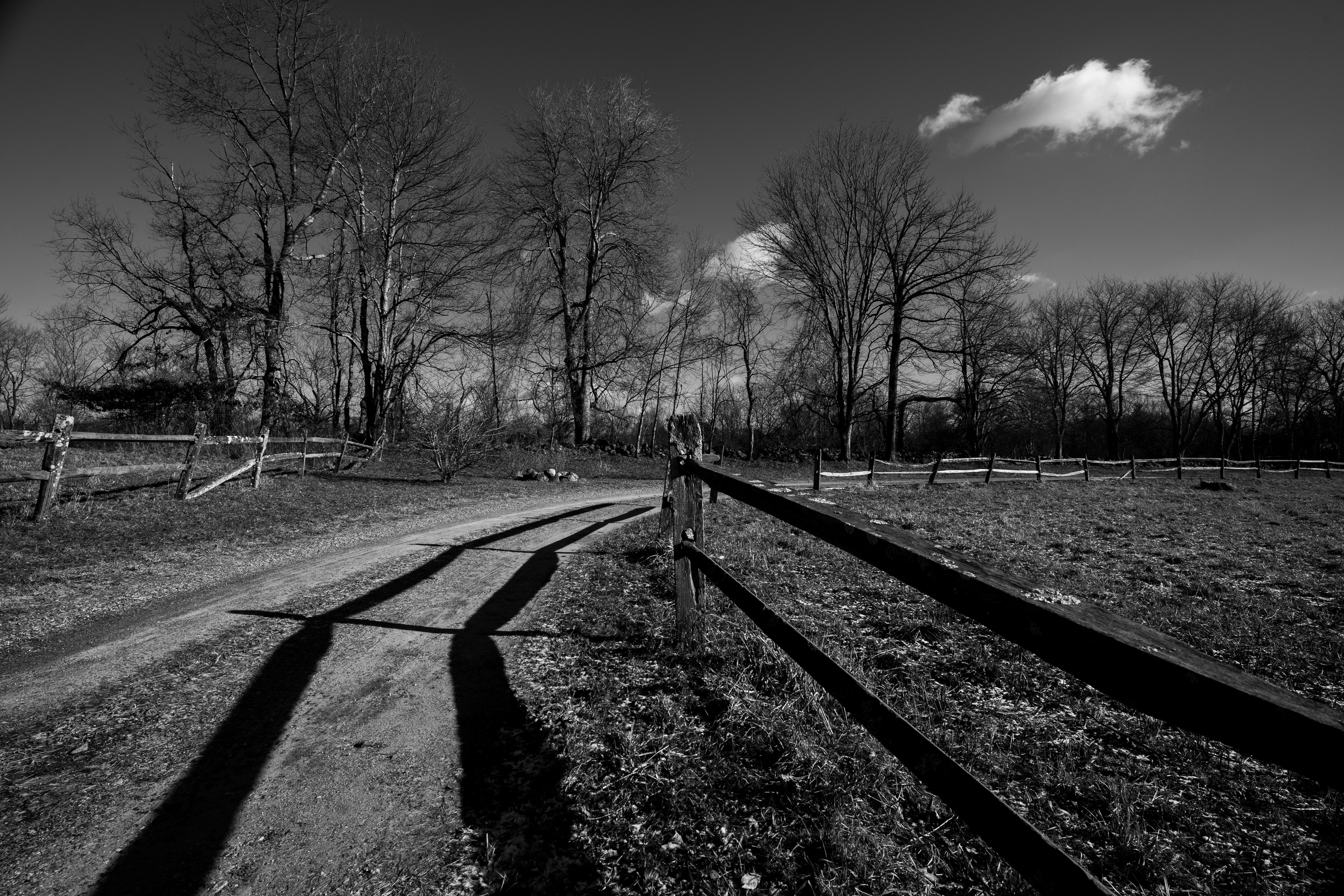 Scenic Black and White Rural Landscape with Fence · Free Stock Photo