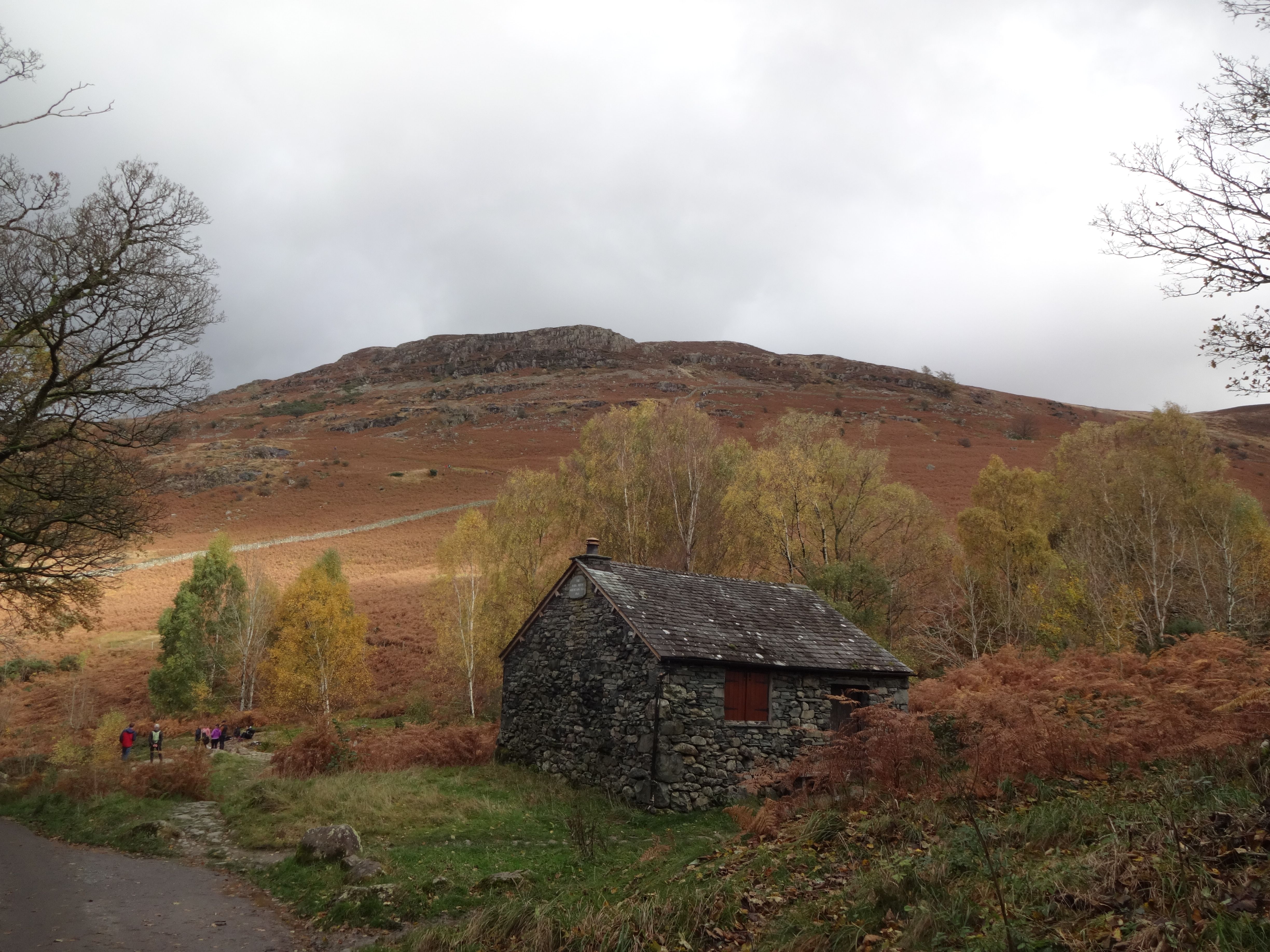 Sunnybank Hills