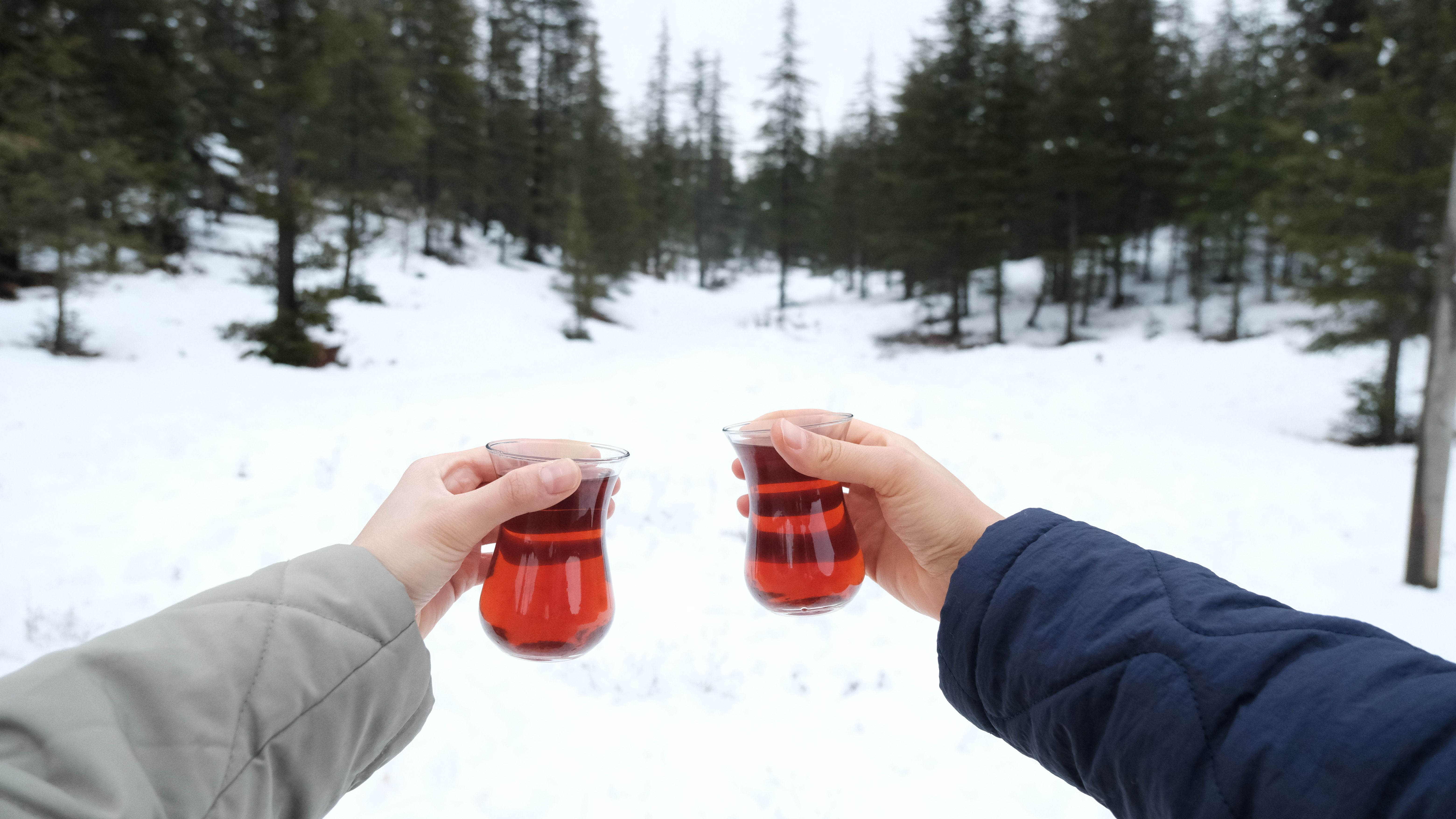 Two hands clinking tea glasses in a snowy forest setting, sharing warmth.