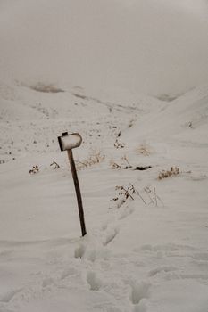 Snowy winter landscape featuring a rustic mailbox in a tranquil setting.