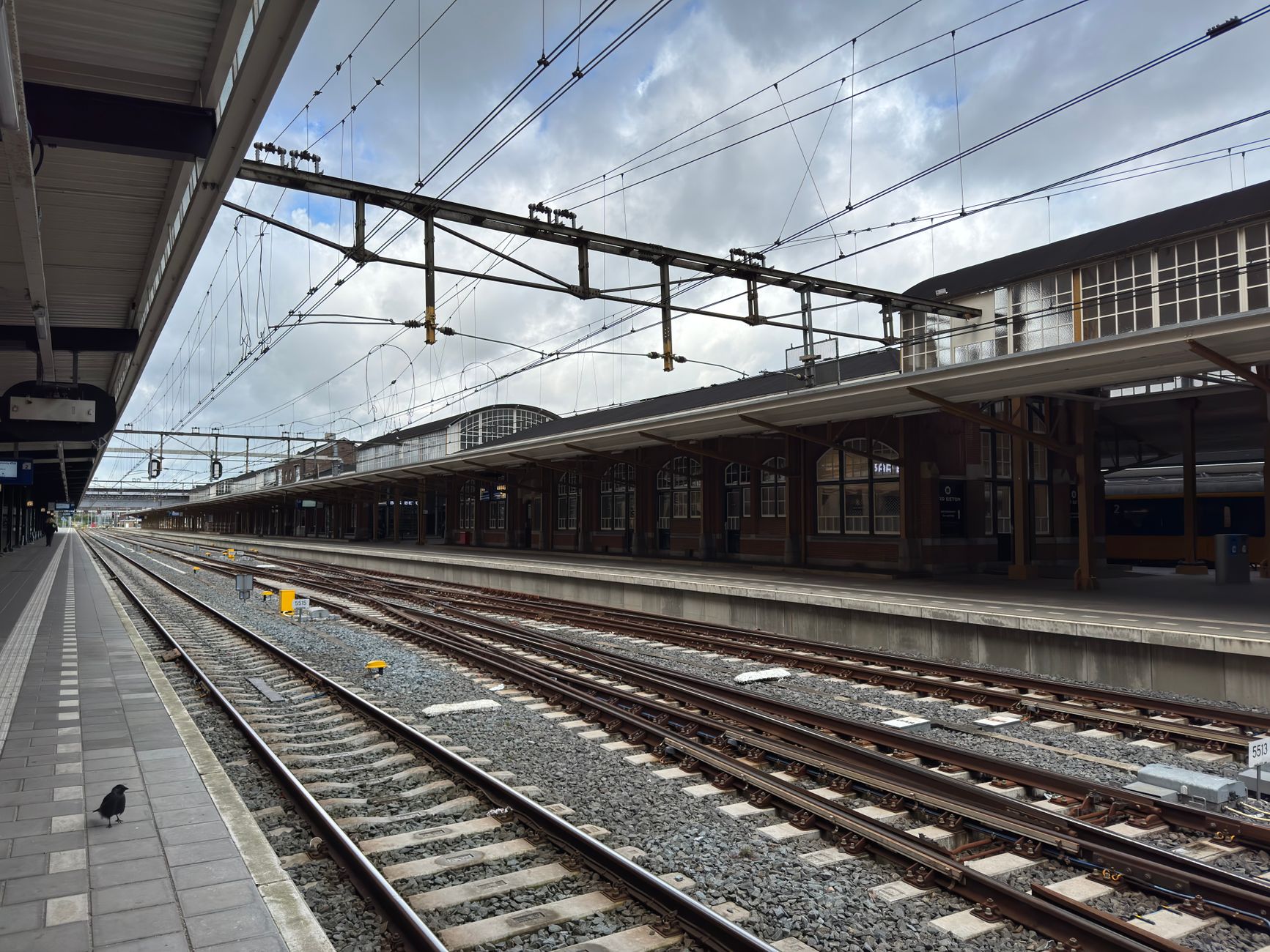Mogelijk nieuwe treindienst in Gelderland