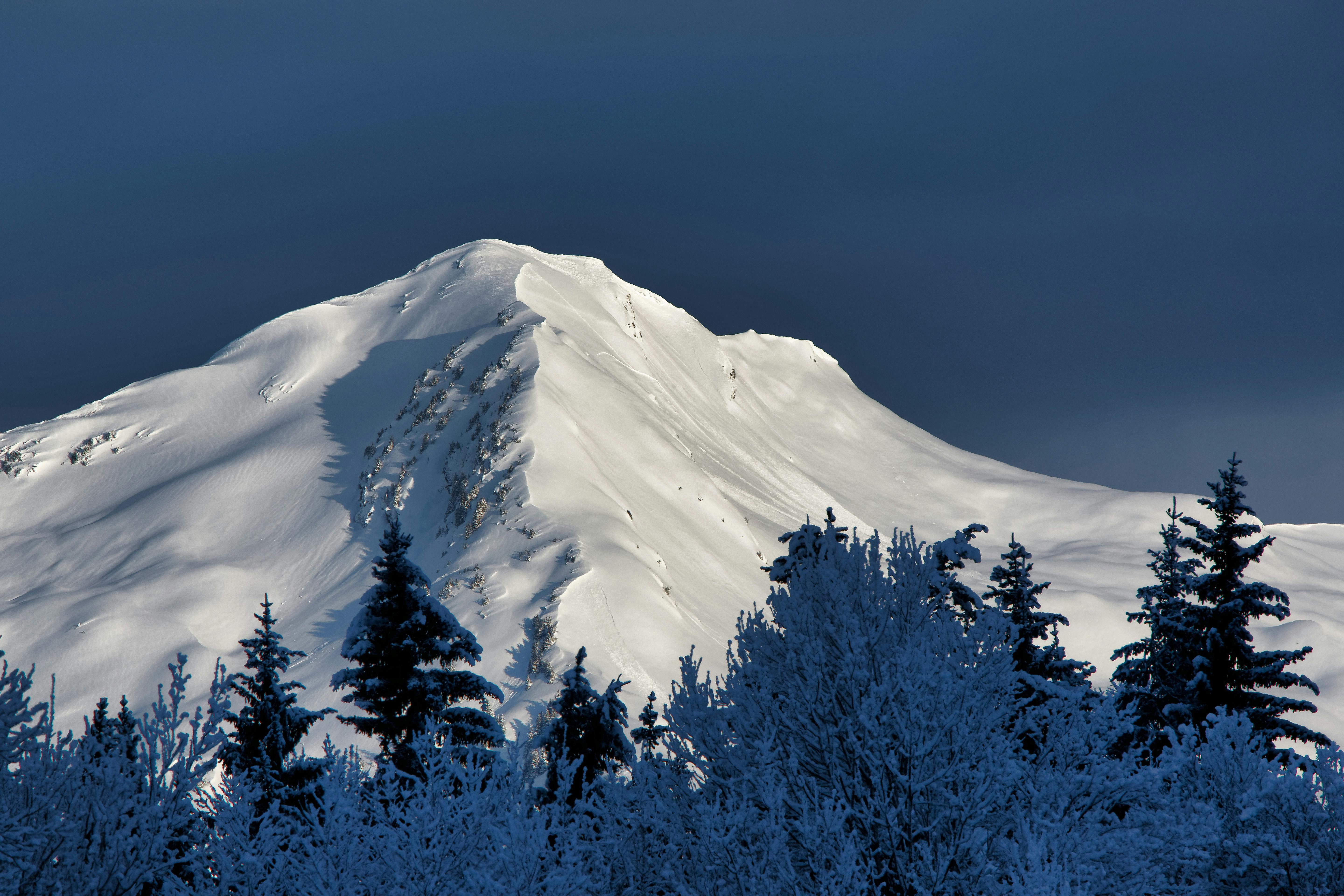Alaska attorneys to provide free legal help on MLK Day holiday — Photo by Gilles QUERTIER on Pexels