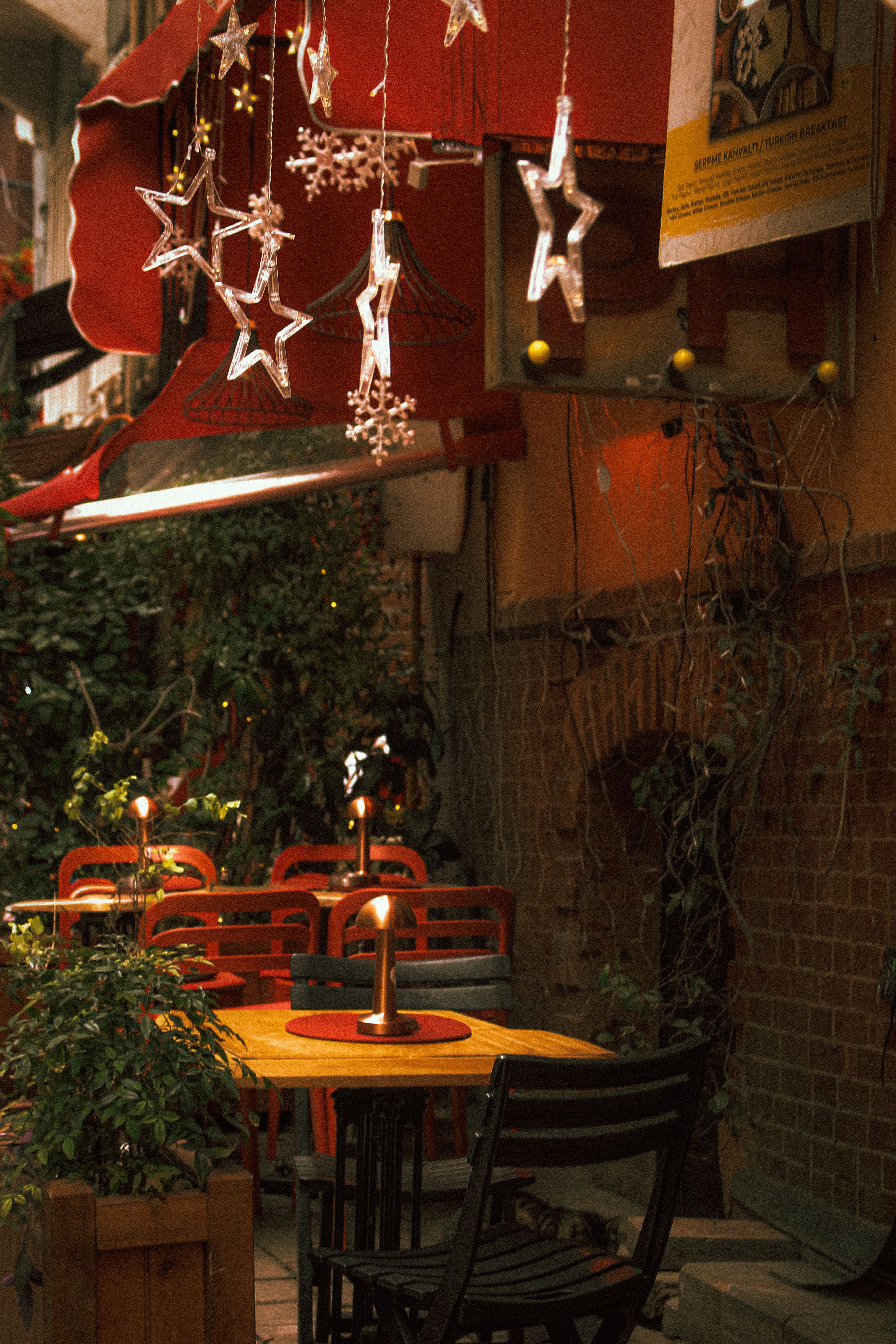 Treehouse Cafe evening ambiance