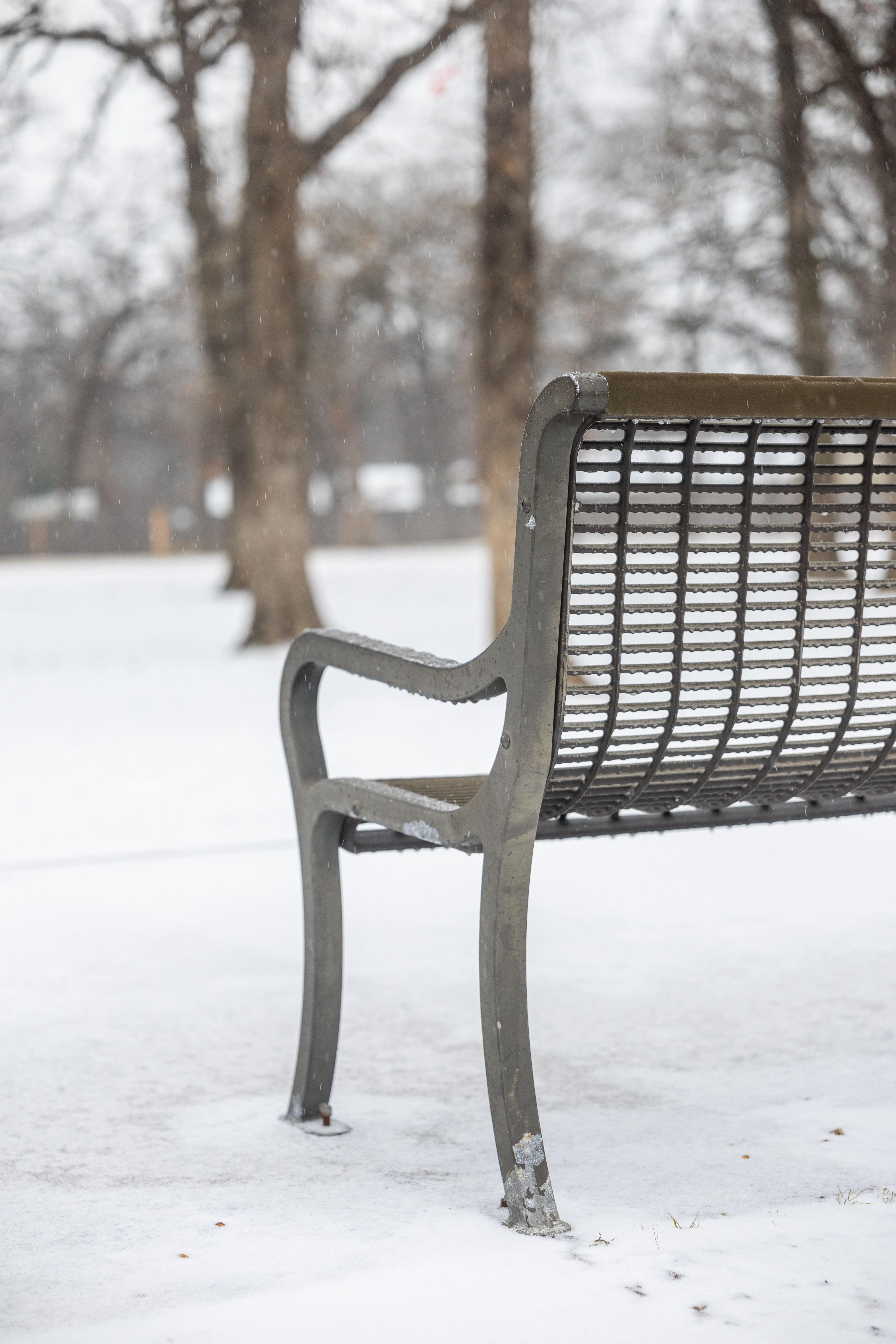 Winter Park Bench in Snowy Landscape · Free Stock Photo