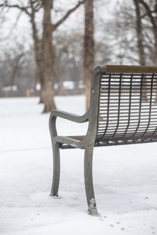 Free Lonely park bench covered with snow in a serene winter landscape. Stock Photo