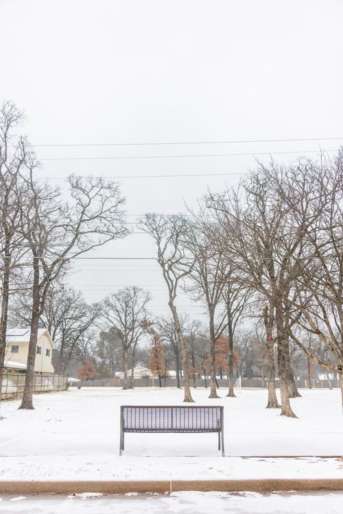 Free Snow-covered park with bare trees and a solitary bench in a winter landscape. Stock Photo