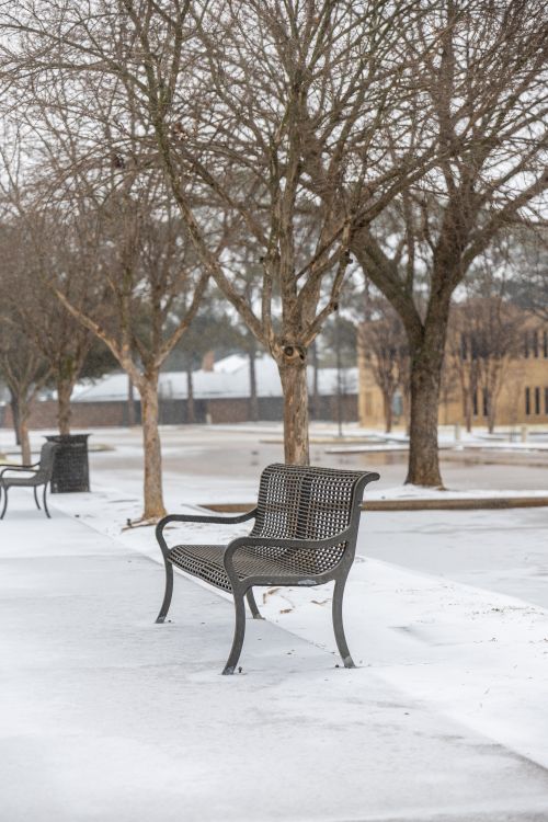 Free A solitary bench in a snowy park setting with bare trees in winter. Stock Photo