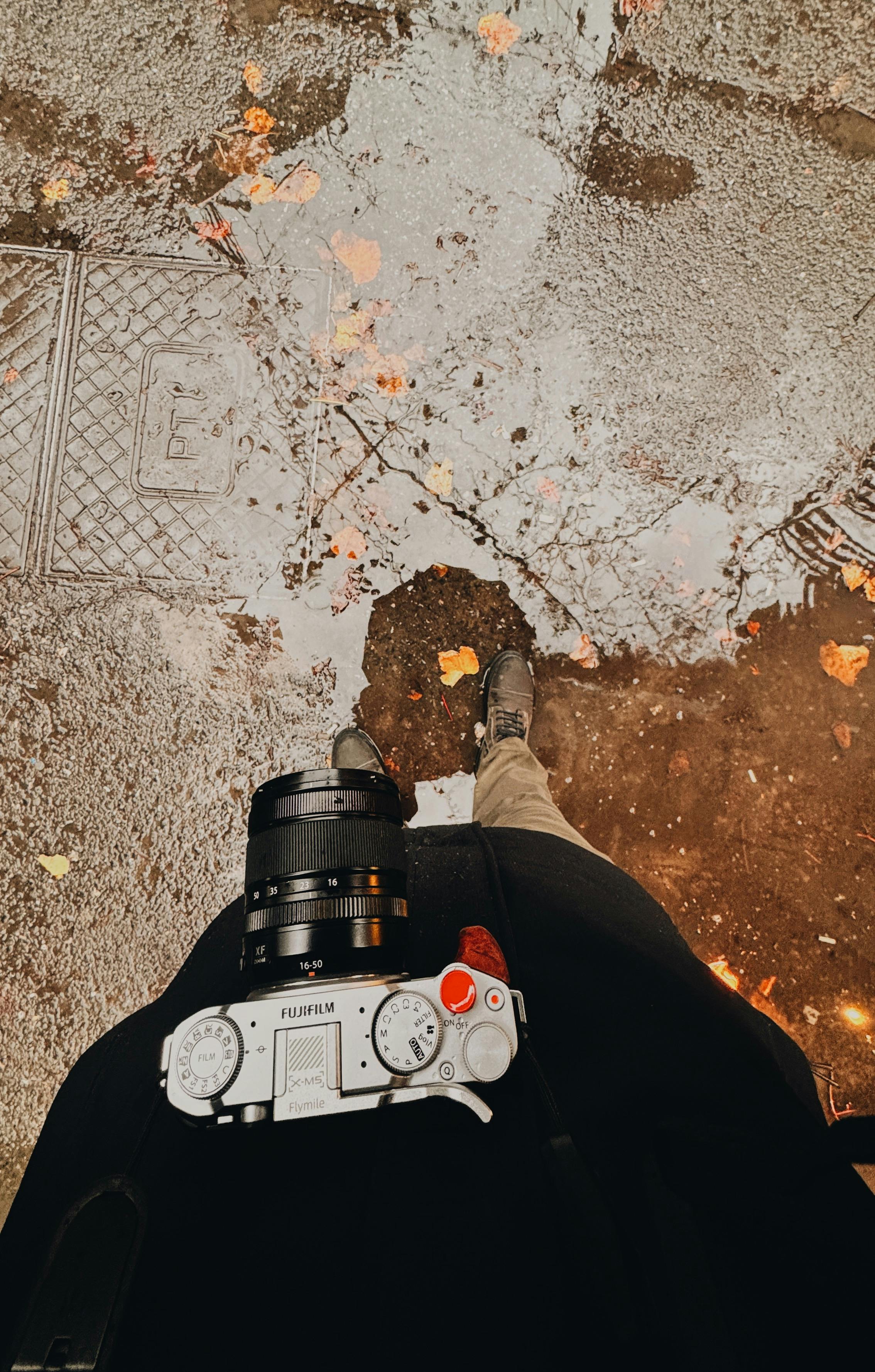 Gratuit Imagine de stoc gratuită din anotimp, aparat de fotografiat, aparatul de fotografiat Fotografie de stoc