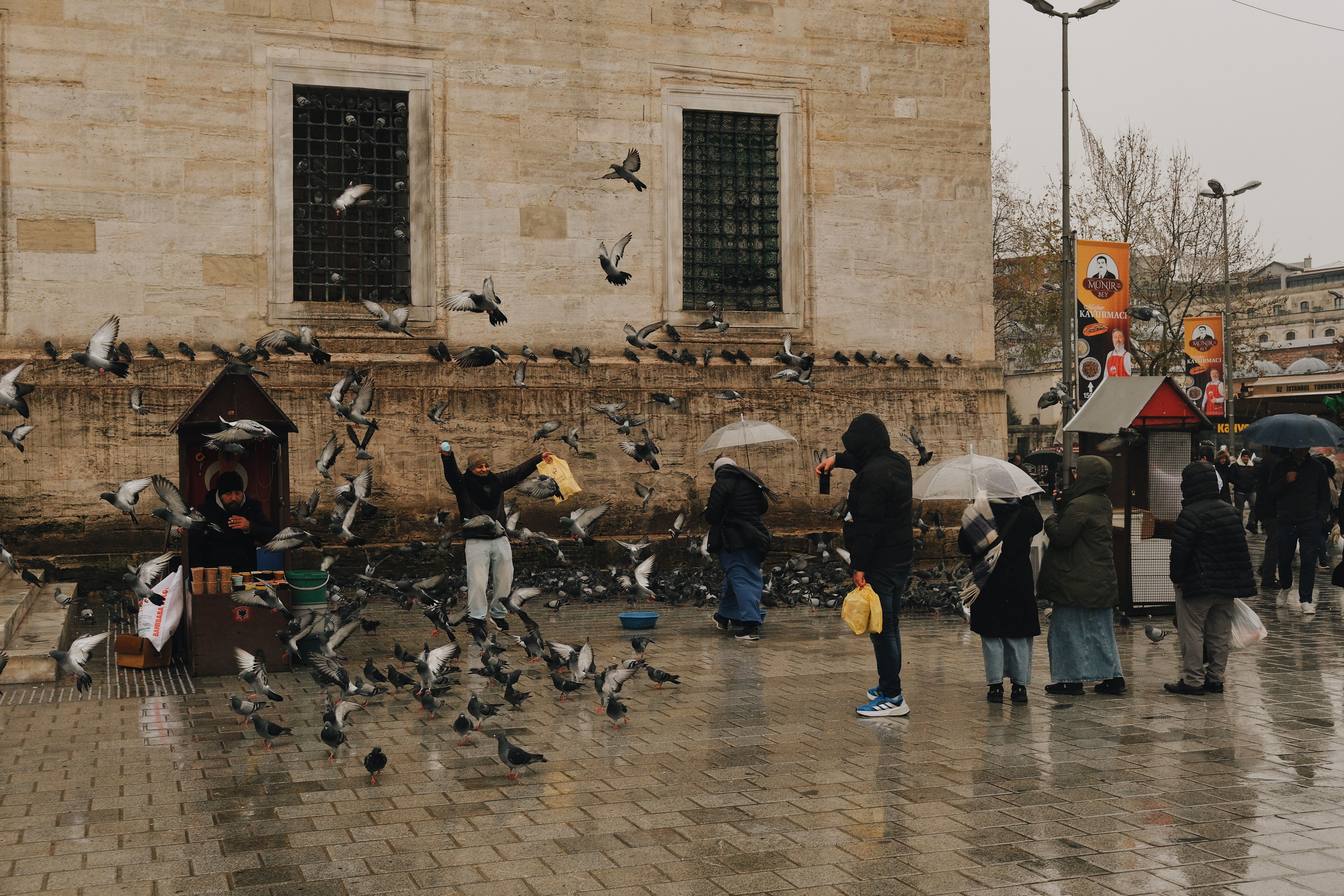 Athens winter Syntagma Square rainy evening
