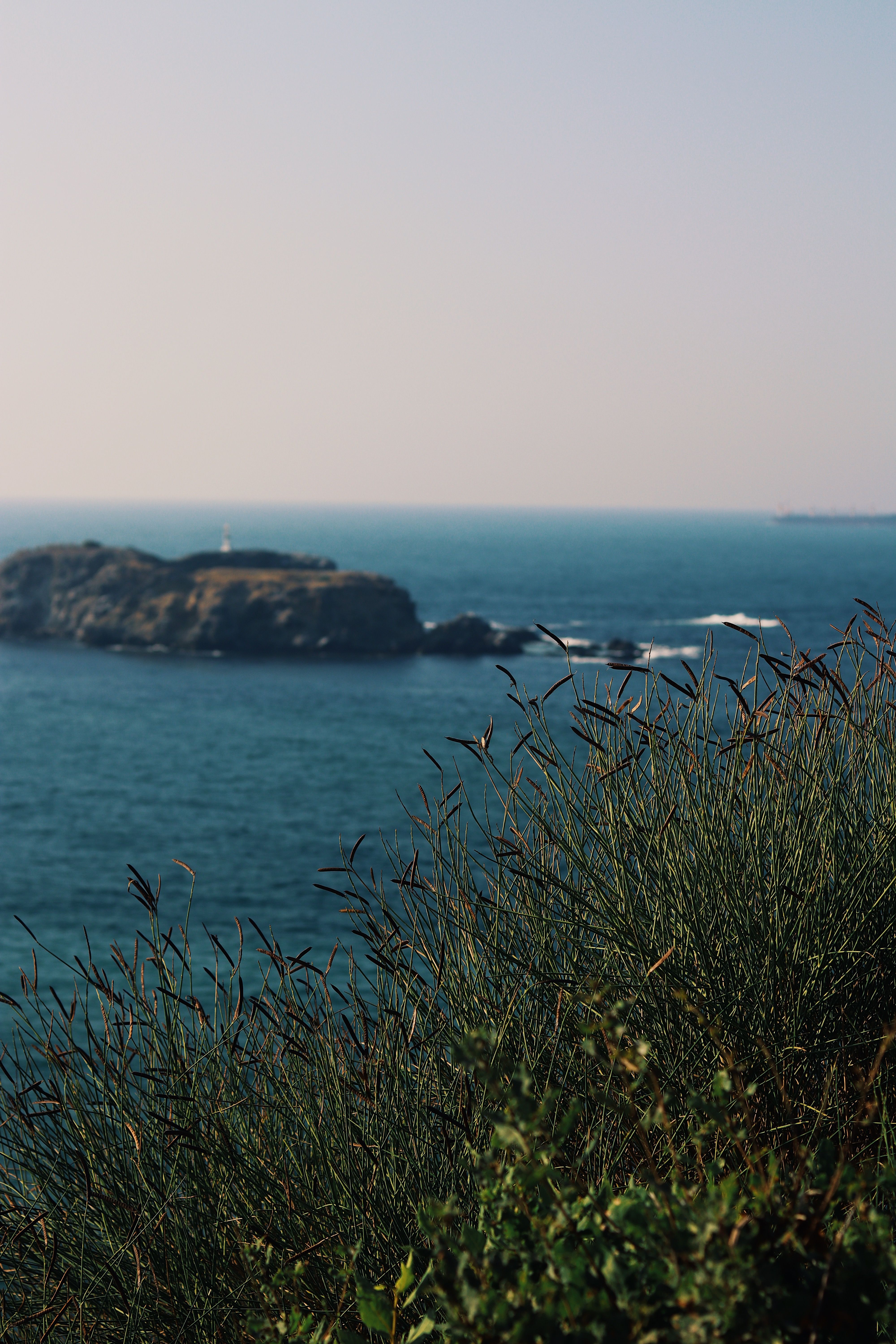Scenic Ocean View with Coastal Cliffs · Free Stock Photo