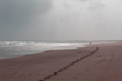 Free stock photo of alone, beach, kutch