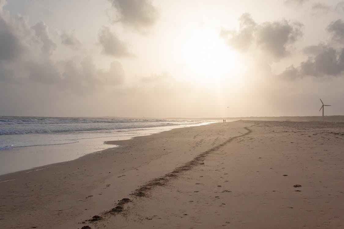 岸邊, 日落, 曼德维海滩 的 免费素材图片