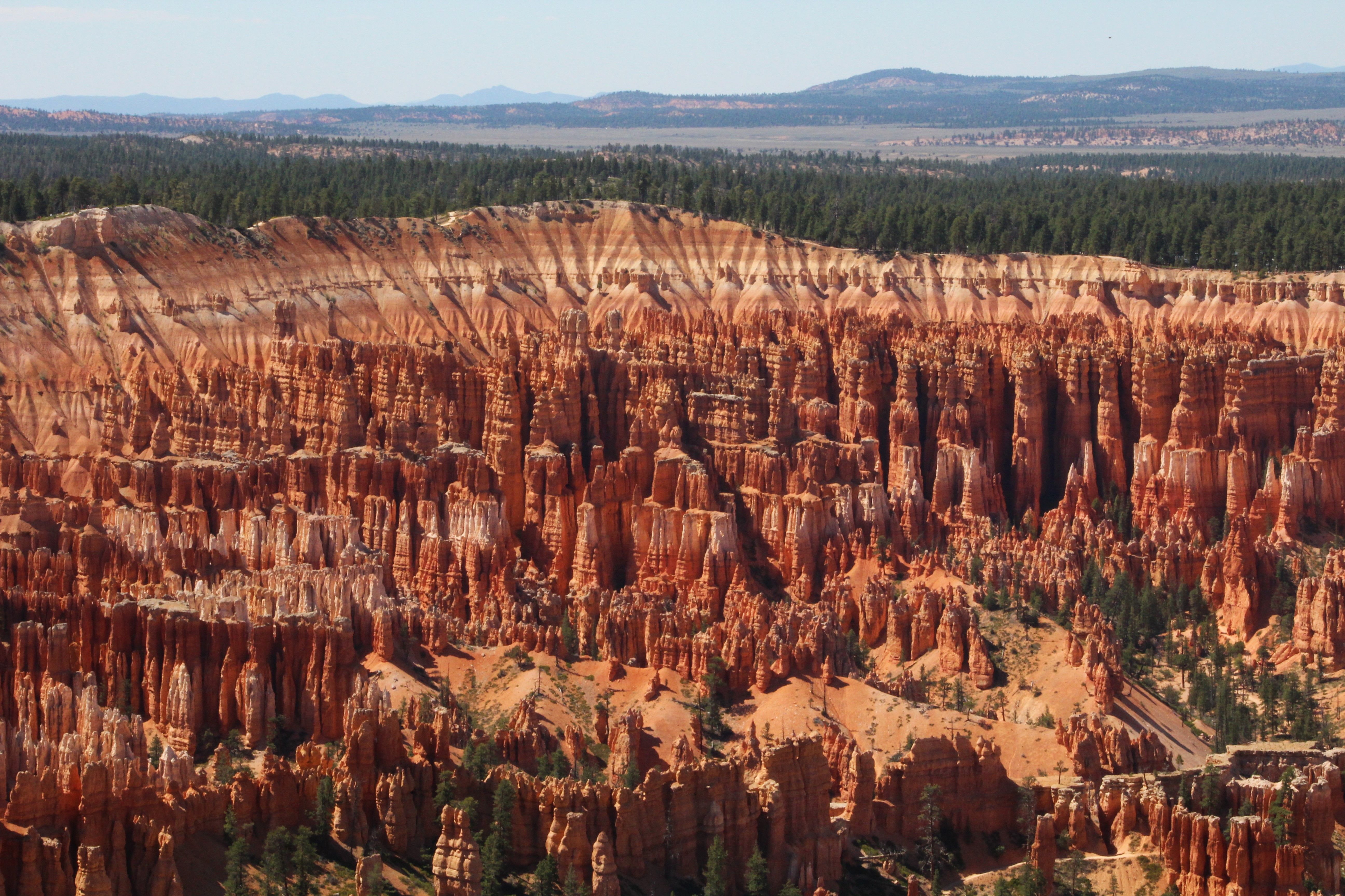Foto: Brianna Eisman / Pexels