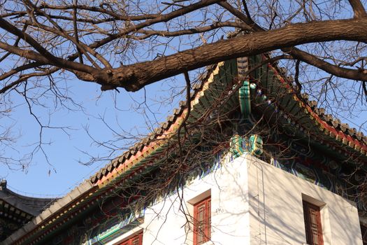 Elegant Asian building roof with ornate decoration under leafless branches against clear sky.