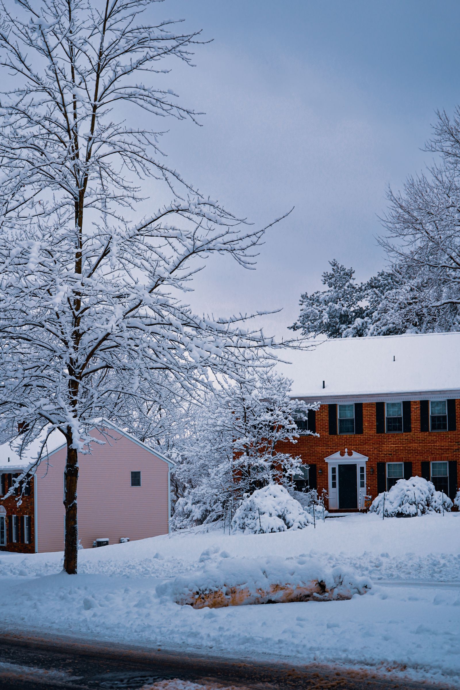 Snow-covered suburban street scene with homes set among bare winter trees, Hobson Village, Naperville IL