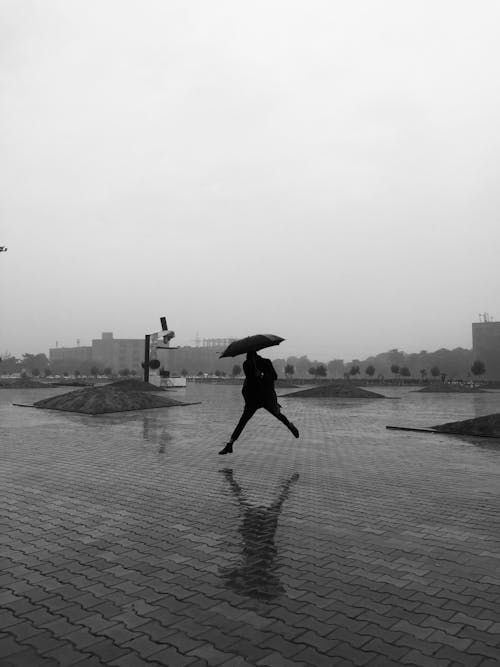 Photo of Person Holding Umbrella