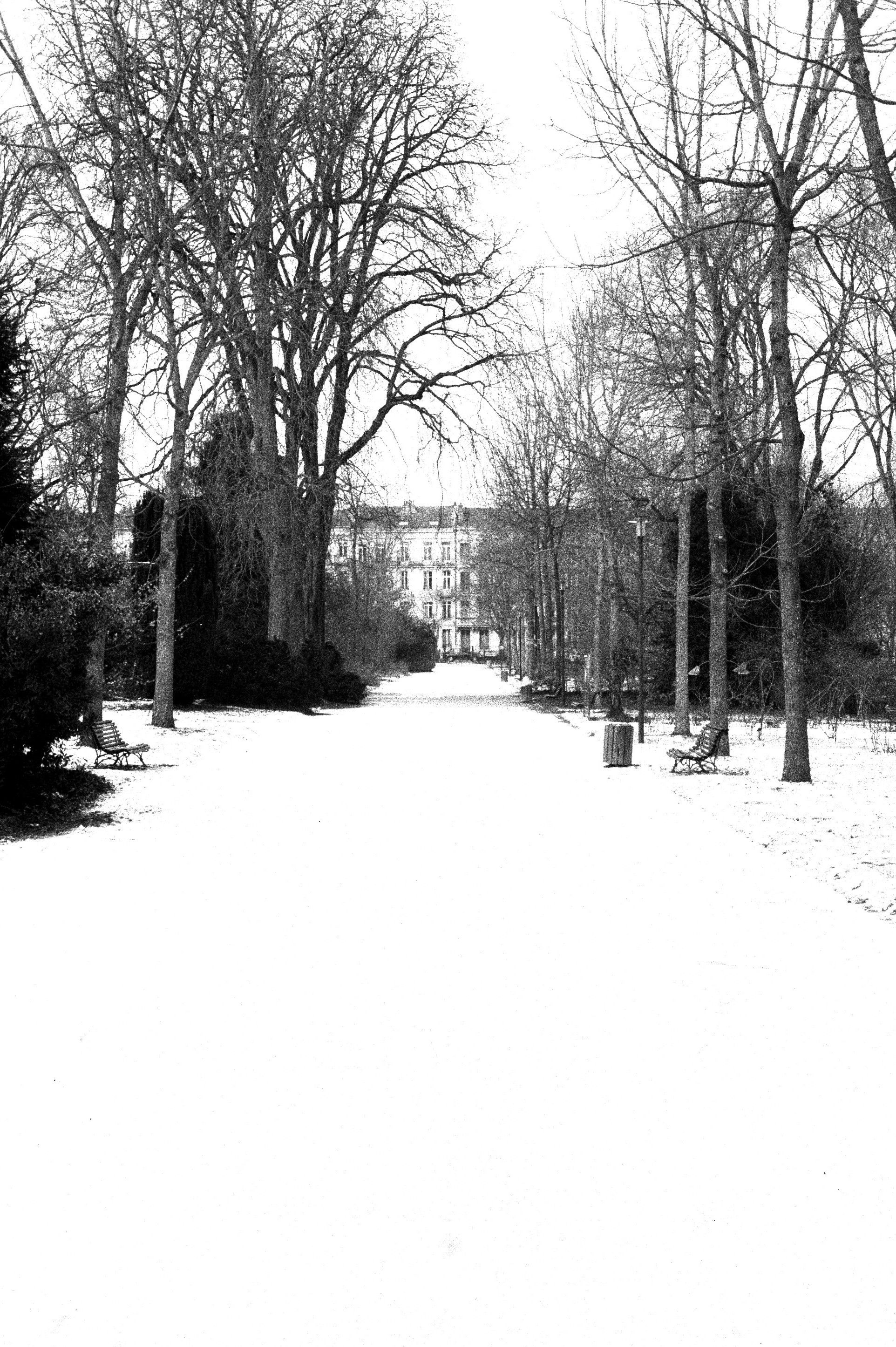 Black and White Snow-Covered Park Pathway · Free Stock Photo