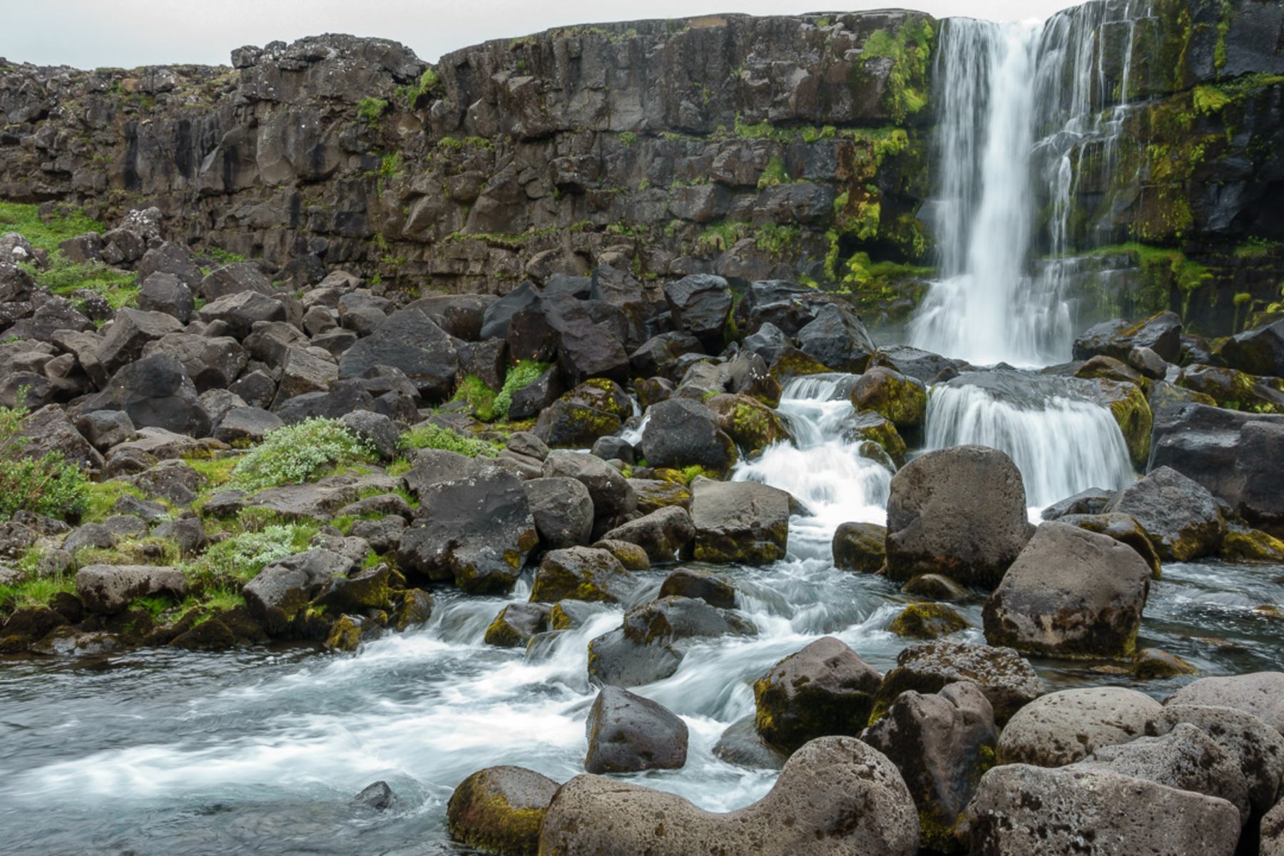 Where to Eat Near the Hotels in Mosfellsbær