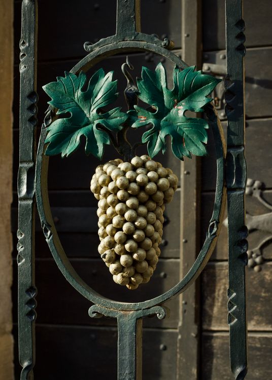 Rustic Grapevine Ornamental Grapevine Ironwork on Rustic Door · Free Stock Photo