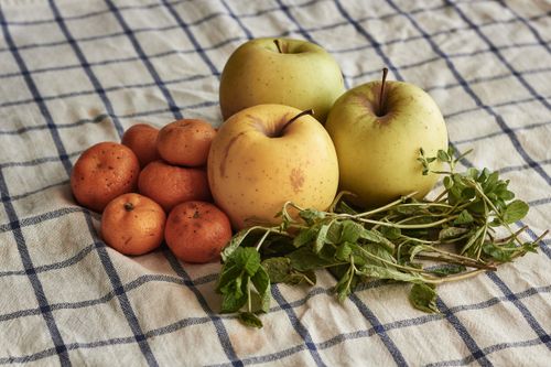 Free Still life of apples, mandarins, and mint on a checkered cloth Stock Photo