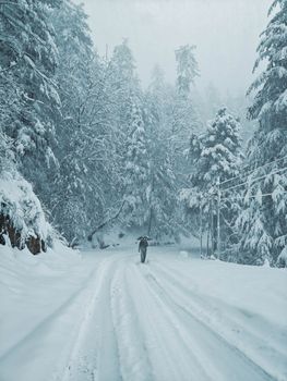 A lone person walks along a snow-covered road in a serene winter forest scene.